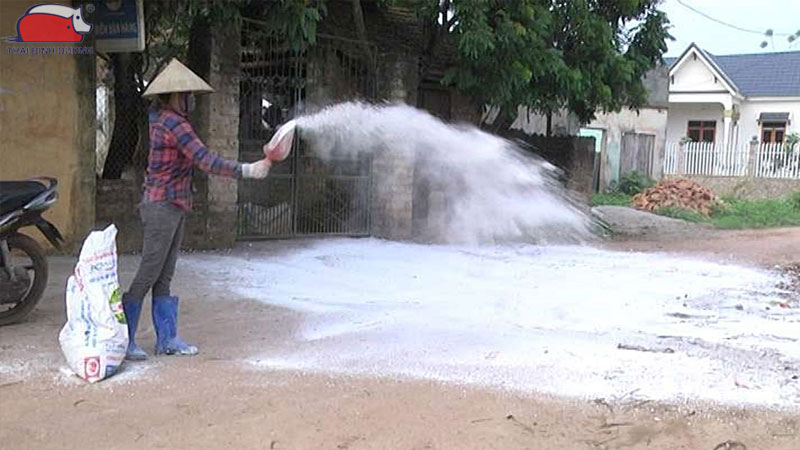 Cách khử trùng chuồng trại bằng vôi bột an toàn và hiệu quả