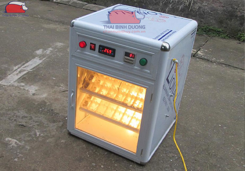 Hướng dẫn cách lắp đặt và sử dụng máy ấp trứng mini