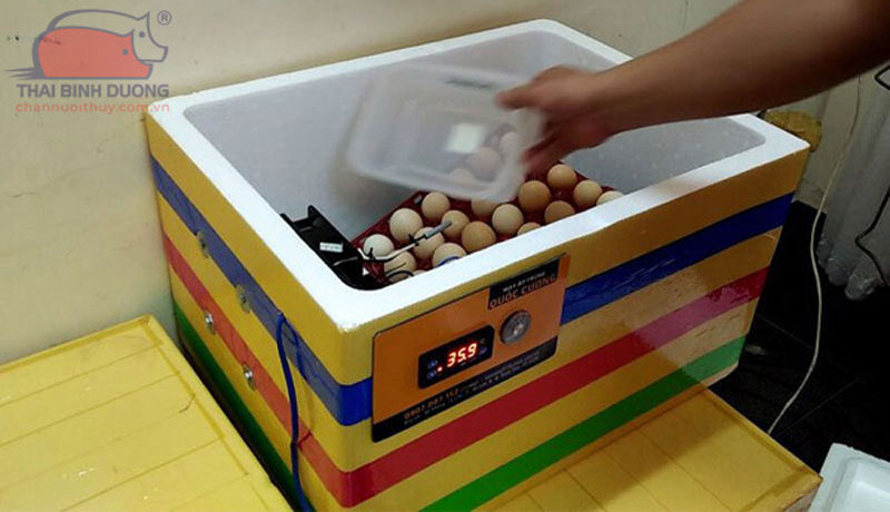 Hướng dẫn cách lắp đặt và sử dụng máy ấp trứng mini