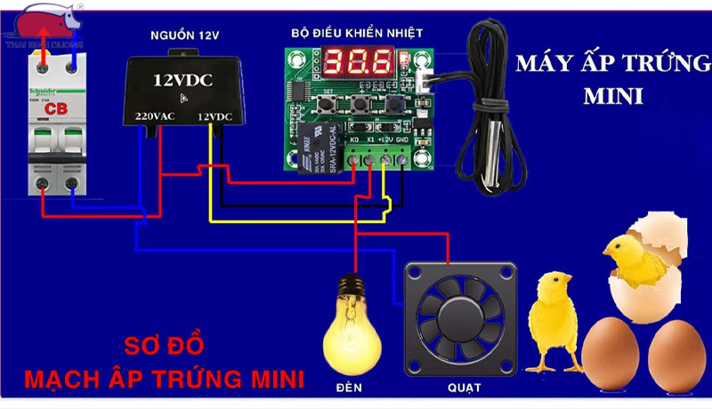 Hướng dẫn cách lắp đặt và sử dụng máy ấp trứng mini