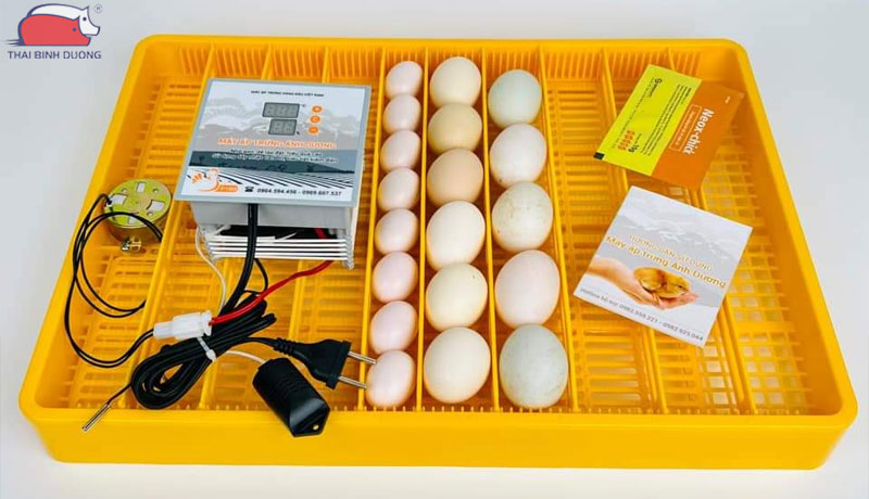 Hướng dẫn các cài đặt và sử dụng máy ấp trứng Ánh Dương