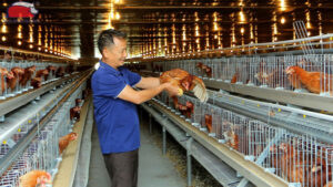 mo hinh trang trai ga khep kin 2