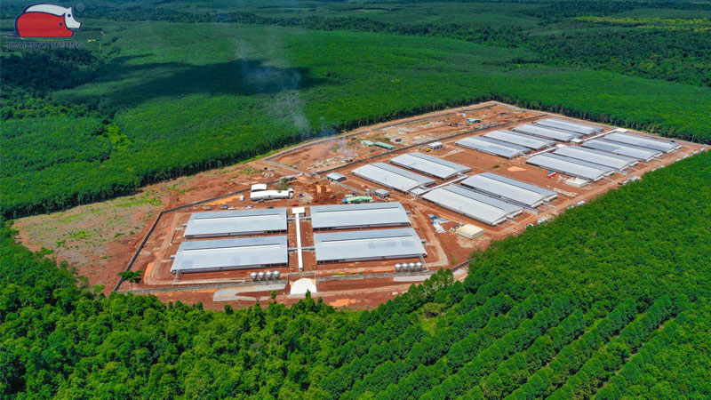 Tìm hiểu về thiết kế mô hình trang trại nuôi lợn khép kín