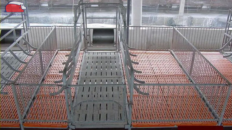 Tìm hiểu về thiết kế mô hình trang trại nuôi lợn khép kín