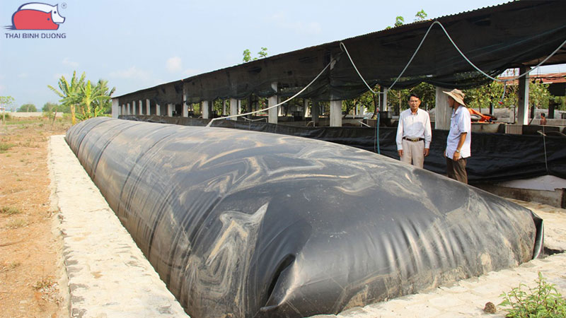 Tìm hiểu về thiết kế mô hình trang trại nuôi lợn khép kín