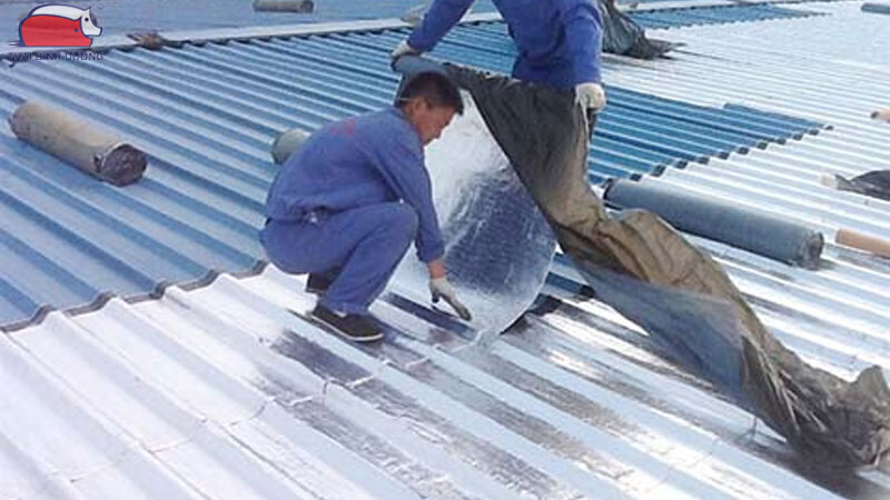 Kỹ thuật nuôi heo con trong mùa nóng