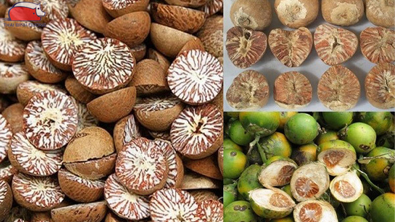 Cách tẩy giun cho gà bằng phương pháp dân gian hiệu quả 11 Cách tẩy giun cho gà bằng phương pháp dân gian hiệu quả