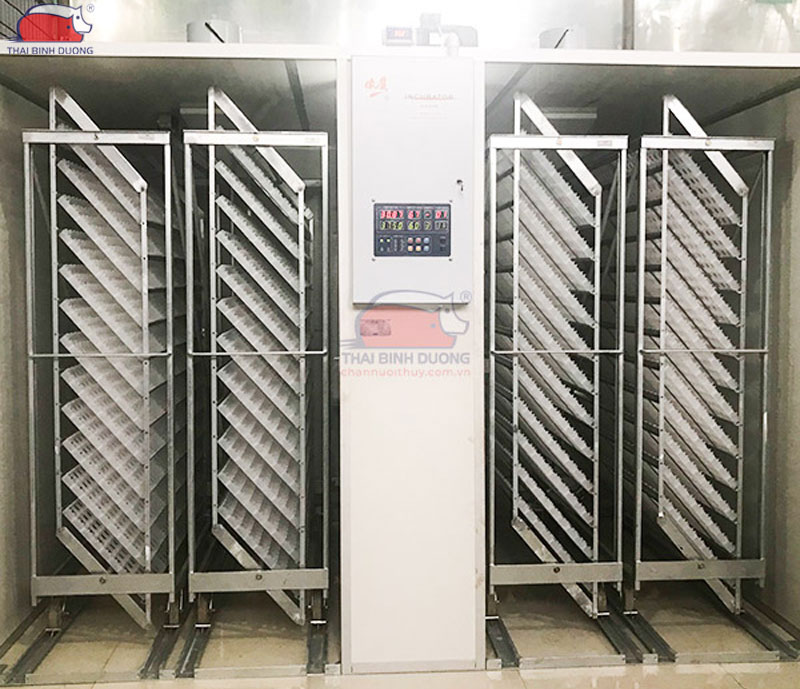 Cách chỉnh nhiệt độ máy ấp trứng đúng kỹ thuật và hiệu quả nhất