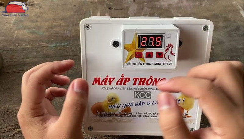 Cách chỉnh nhiệt độ máy ấp trứng đúng kỹ thuật và hiệu quả nhất