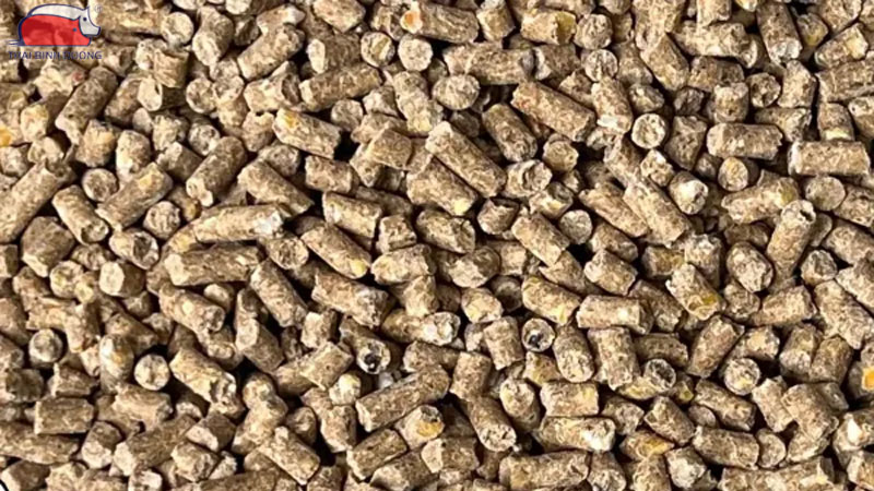 Thức ăn cho vịt: các loại cám và khẩu phần theo từng giai đoạn