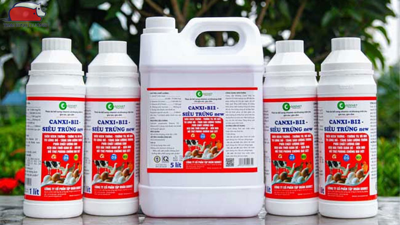 TOP 8 loại vitamin cho gà được sử dụng phổ biến hiện nay 19 Thuốc B12 cho gà