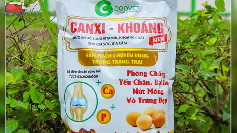 TOP 8 loại vitamin cho gà được sử dụng phổ biến hiện nay 24 Vitamin D3 kết hợp Canxi