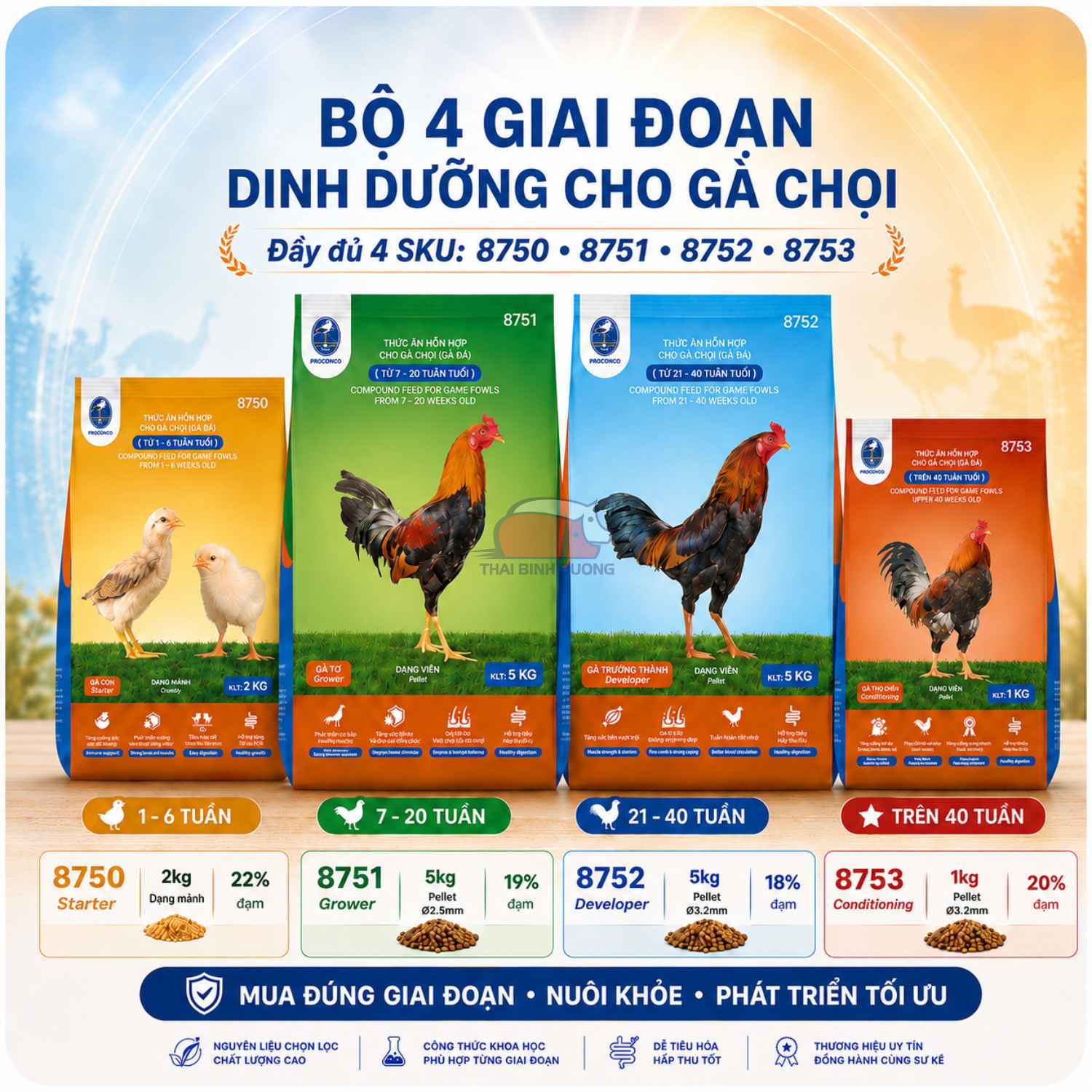 Thức ăn hỗn hợp dành cho gà đá, cám gà đá Proconco