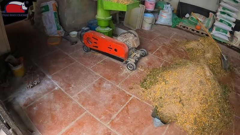 Phối trộn thức ăn cho vịt đẻ