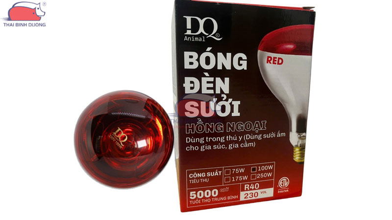 Đèn sưởi hồng ngoại DQ 220V