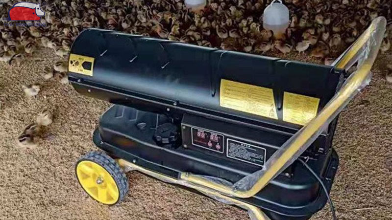 Máy sưởi dầu Diesel hoặc dầu hỏa