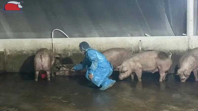 Tác hại nghiêm trọng đối với sức khỏe người tiêu dùng